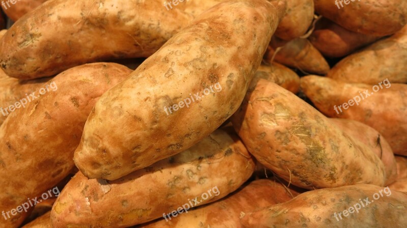 Sweet Potatoes Root Starchy Harvest Fresh