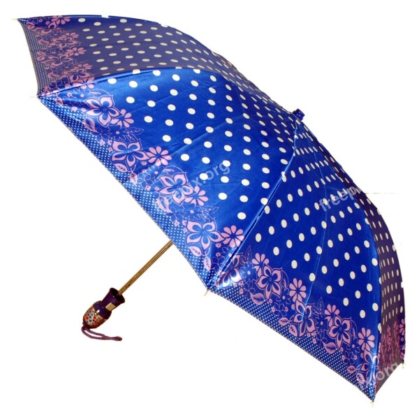 Ladies Umbrellas Dotted Pattern White Background