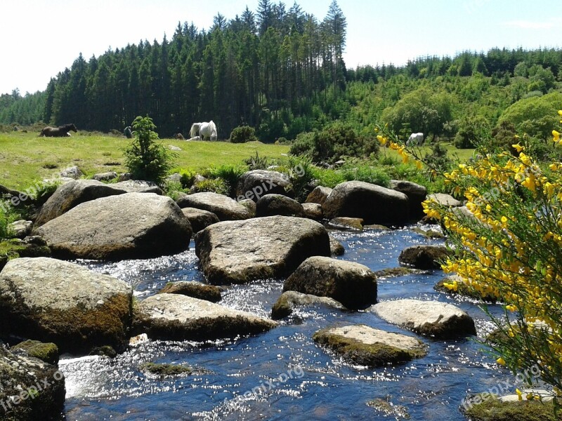 Stream Countryside Nature Outdoors English Countryside