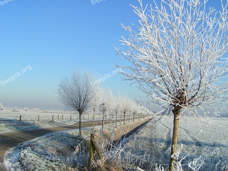 Winter Ripe White Landscape Freezing