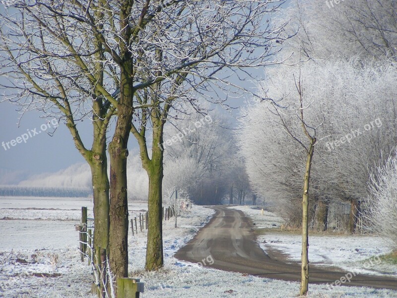 Winter Ripe Landscape Freezing White