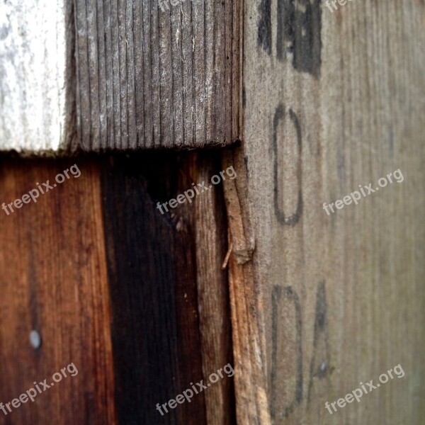 Wood Texture Wood Texture Bright Expensive