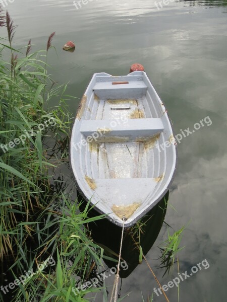 Old Boat Boat Lake Rushes Free Photos