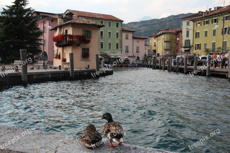 Torbole Port Ducks Garda Architecture