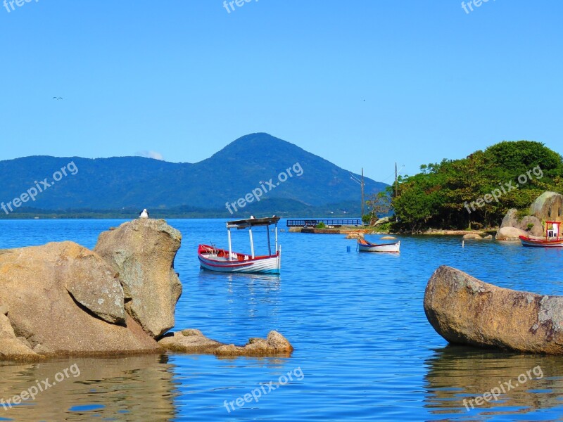 Boat Mar Beach Wooden Boat Florianópolis