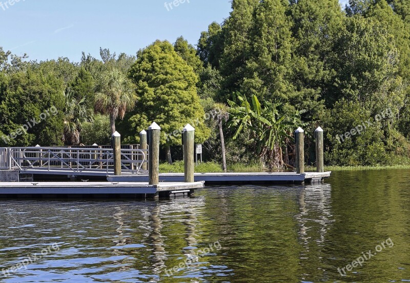 Jetty River Forest Landscape Trees