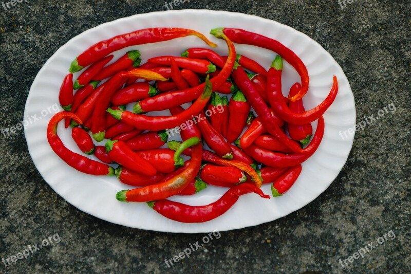 Chilli Food Vegetable Hot Spicy