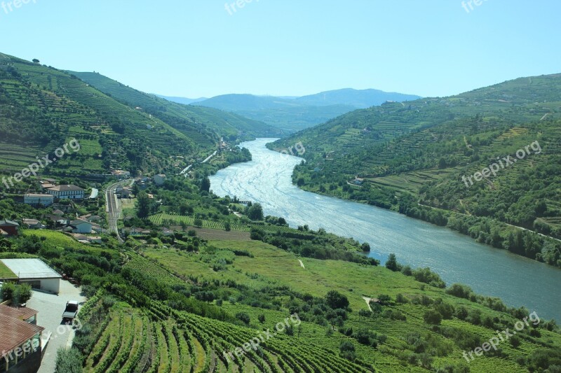 Douro Overlook Areas Vineyard Free Photos