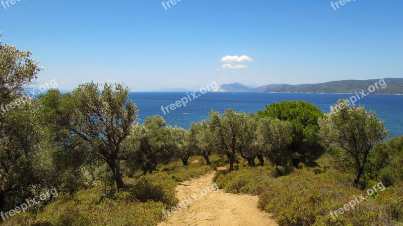 Greece Skiathos Nature Path Island