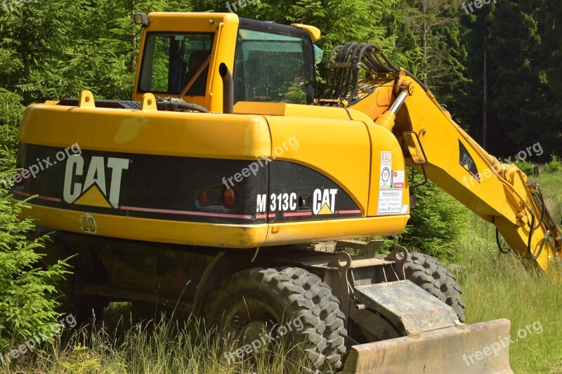 Forestry Vehicle Tree Cases Limbing Large Enormous