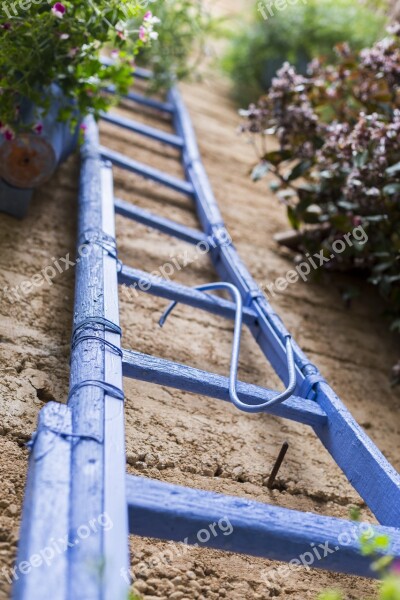 Ladder Patio Spain Plants Cordoba