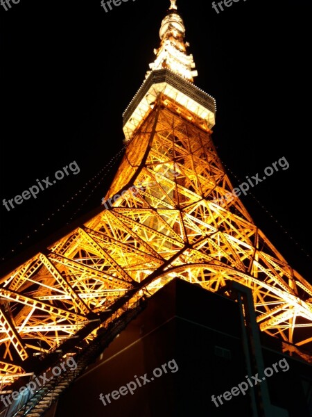 Light Up Tower Night View Free Photos