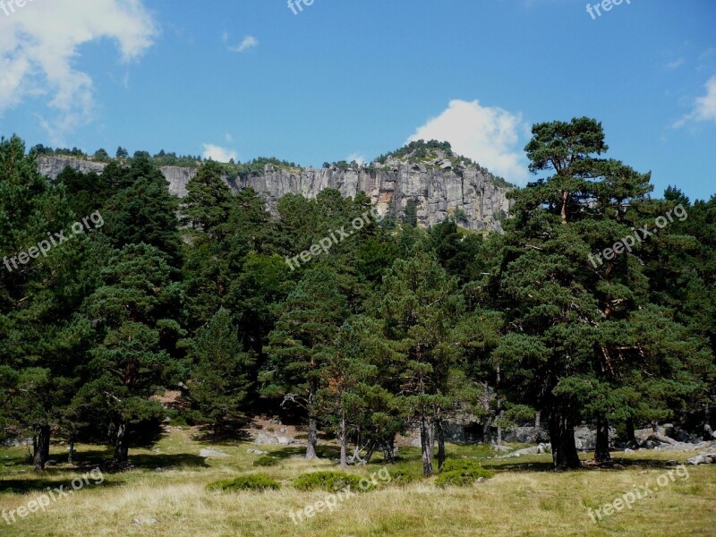 Pinewood Mountain Landscape Tree Forest