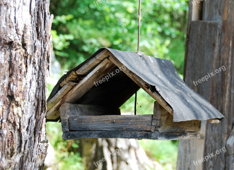 Bird Feeder Old Woods Free Photos