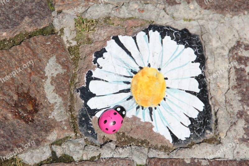 Bardolino Margarite Paving Stone Street Painting Ladybug