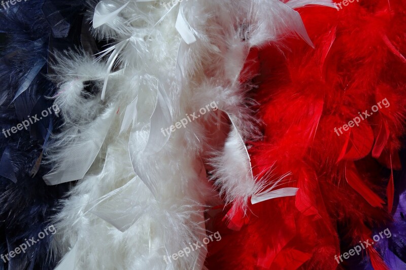 Boa Feather Boa Accessory Glamour Costume