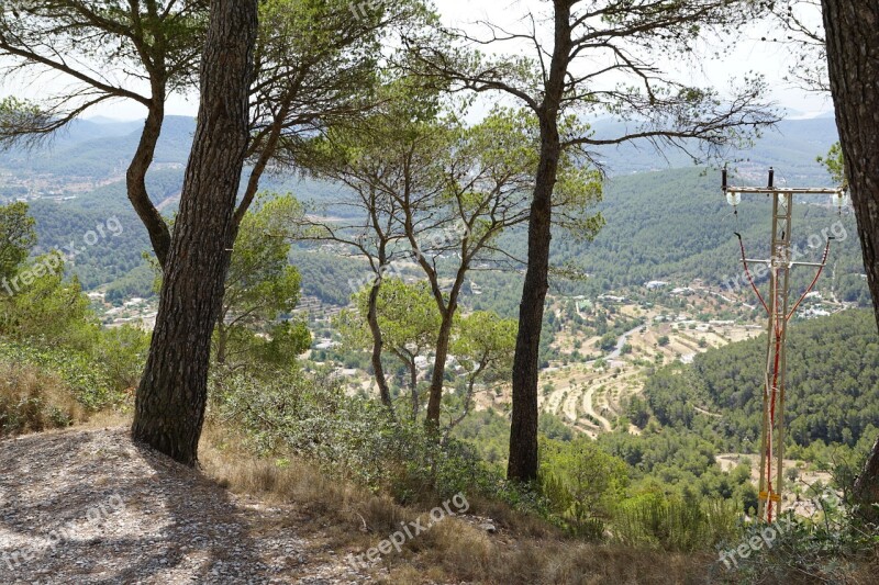 Forest Ibiza Green Island Formentera