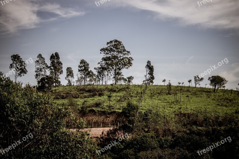 Nature Landscape Horizon Trees Green