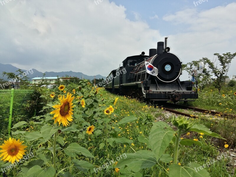 Republic Of Korea Steam Locomotive Train Railway Transportation