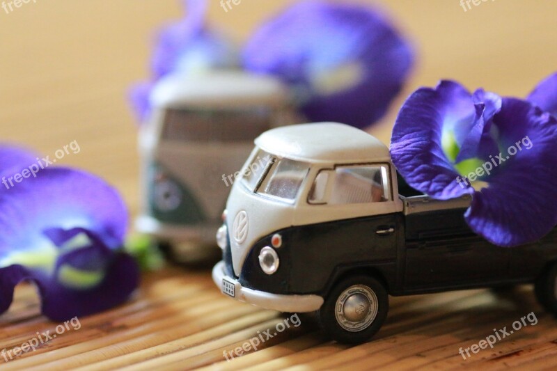 Model Car Flower Indoor Volkswagen Toy