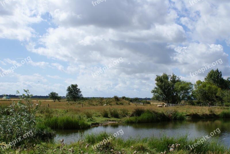 Essex England Uk Pond Clouds