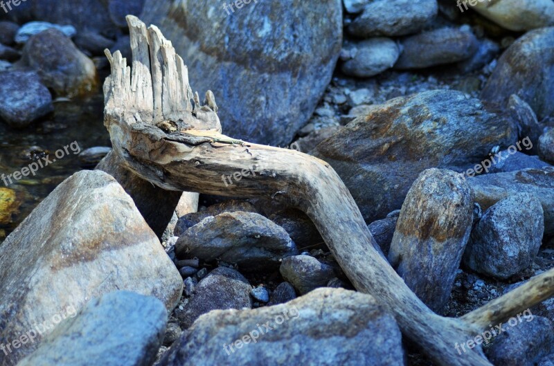 Wood Branch Deadwood Water River