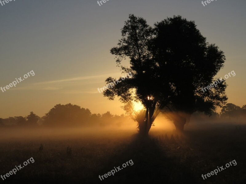 Sunrise Nature Start Of The Day Tree Sun