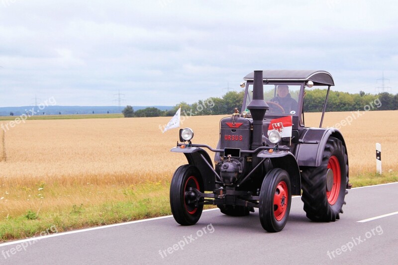 Ursus-bulldog Tractor Historically Agricultural Machine Oldtimer