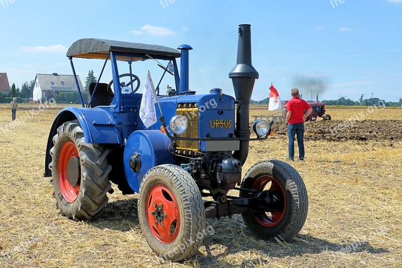 Tractor Historically Agricultural Machine Oldtimer Tractors