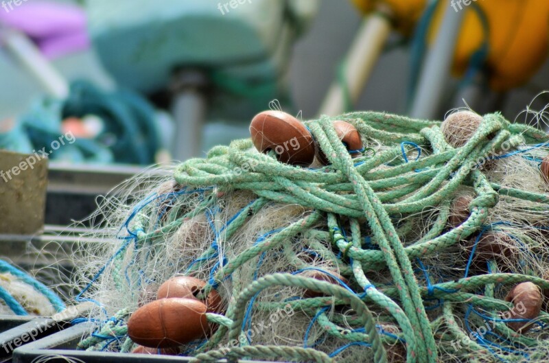 Net Fishing Nets France Fishing Fisherman