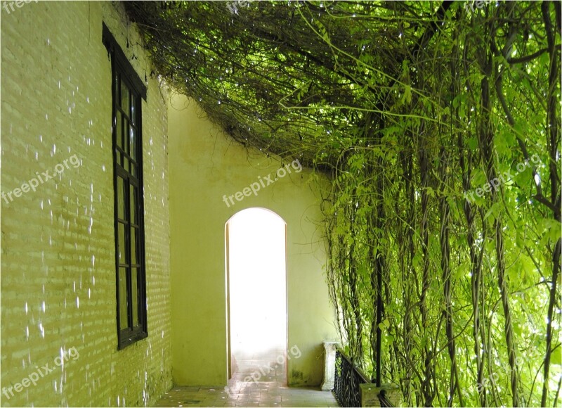 Seville Green Alcazar Hall Gardening