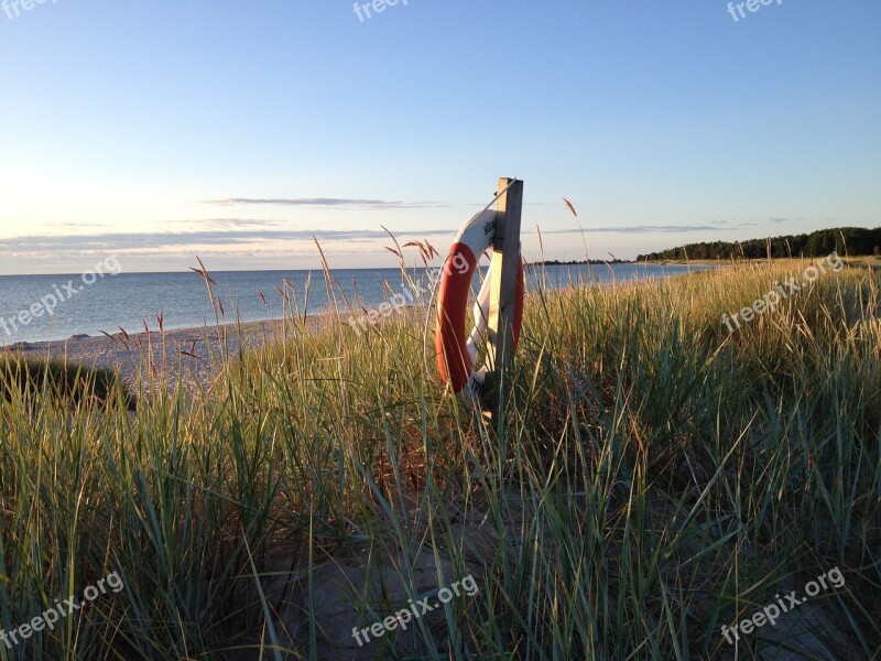 Lifebuoy Reed Oland Böda Beach