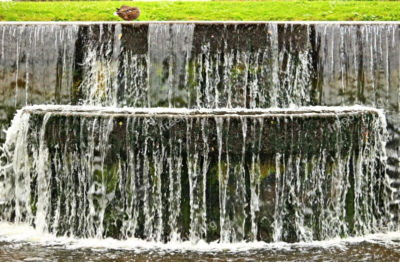 Ludwigslust-parchim Basin Water Waterfall Duck