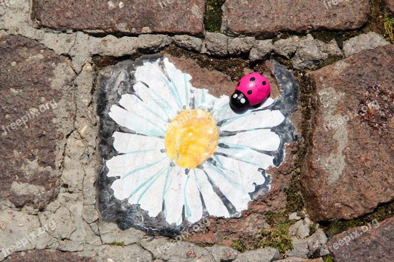 Margarite Paving Stone Ladybug Free Photos