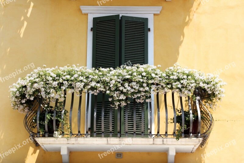 Balcony Plant Balcony Plants Italy Free Photos