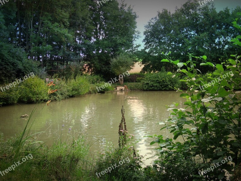 Fish Pond Carp Pond Water Lake