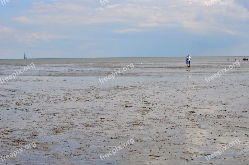 Watts North Sea Ebb Mudflat Hiking Tides