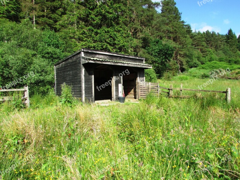 Wooden Hut Stable Shed Barn