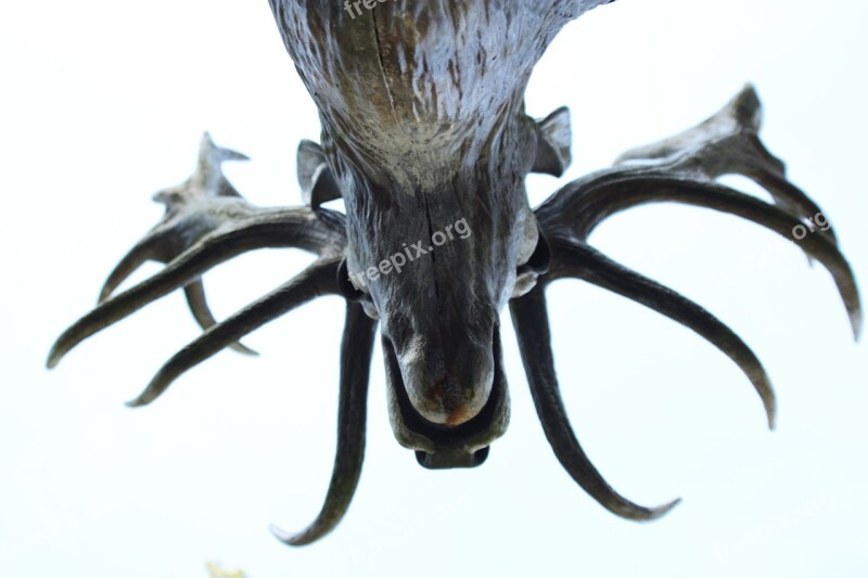 Hirsch Sculpture Antler Figure Art