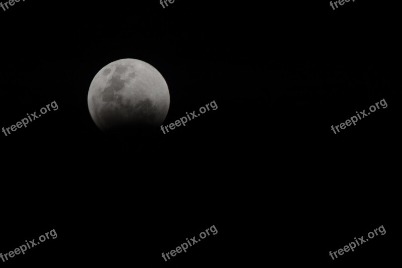 Moon Eclipse Night Sky Free Photos