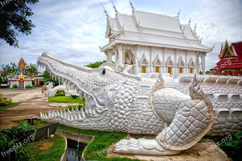 Sri Ram Faith Fork Phichit The White Temple Crocodile