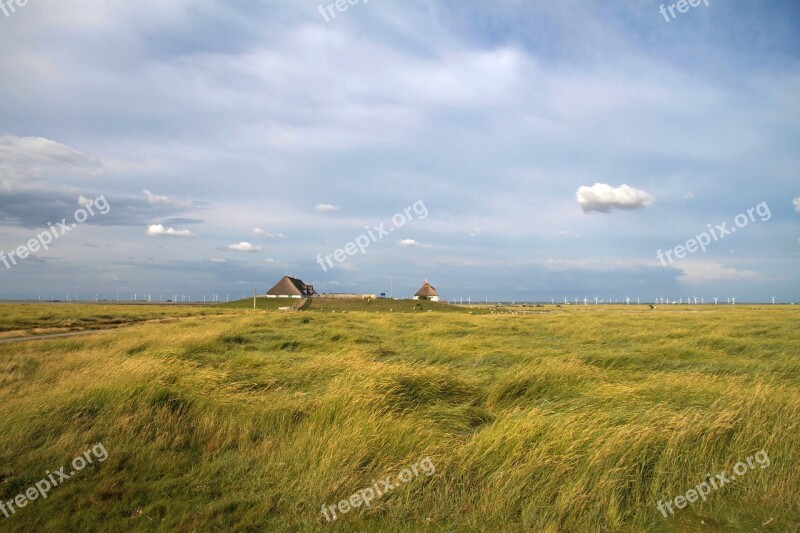 Hamburger Hallig Wadden Sea North Sea Salt Meadow Coast