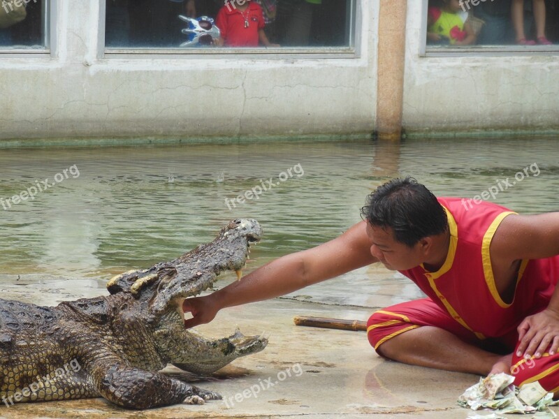 The Crocodile Farm Crocodile Farm Samut Prakan Thailand Show