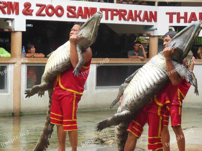 The Crocodile Farm Crocodile Farm Samut Prakan Thailand Show