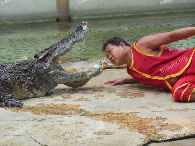 The Crocodile Farm Crocodile Farm Samut Prakan Thailand Show