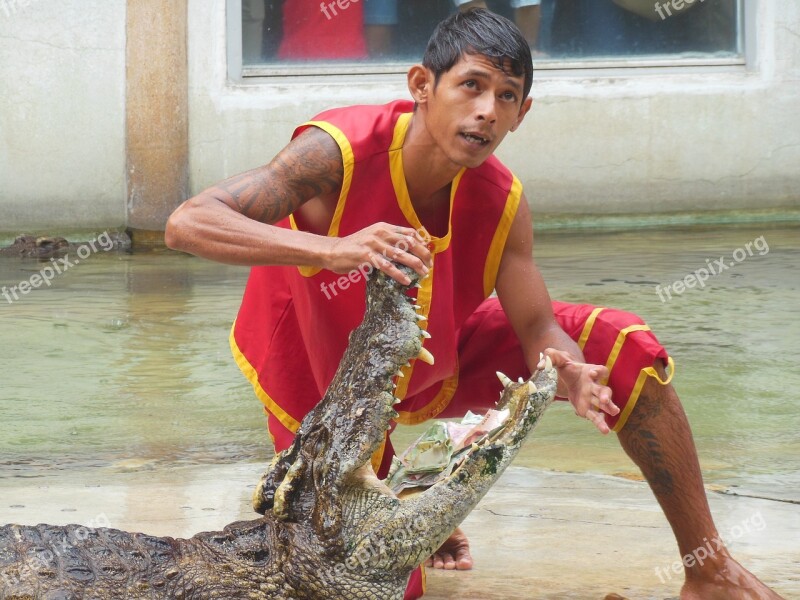 Crocodile Farm Samut Prakan Thailand Show People With Crocodiles