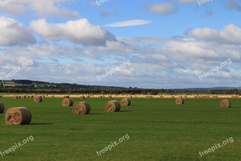 Hay Field Agriculture Landscape Scenic