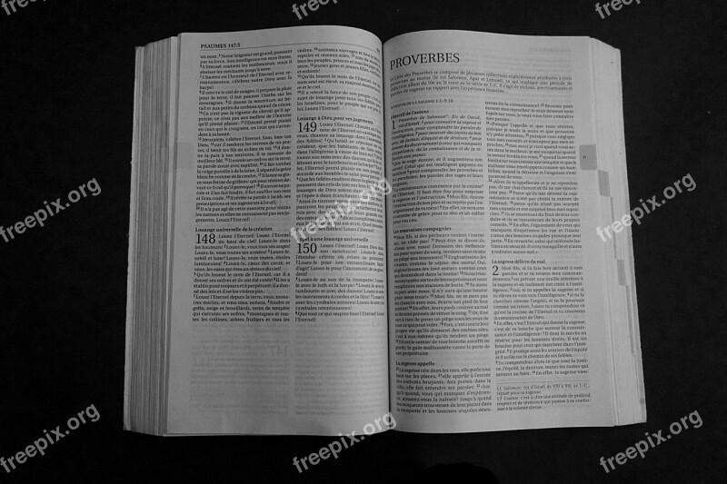 Bible Book Religion This Book Is A Reference Christianity