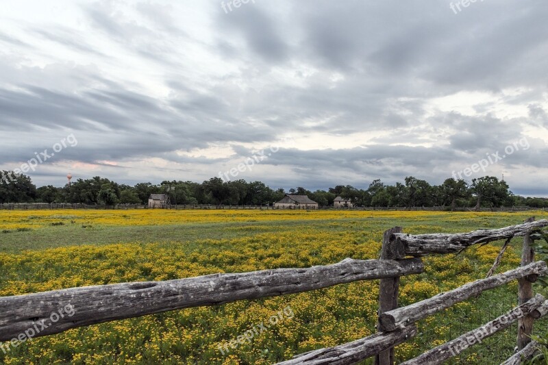 Farm Agriculture Wildflowers Blooming Landscape