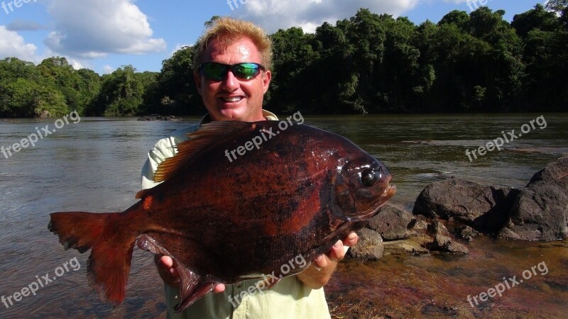 Fishing Pacu Guyanna Fish Hobby